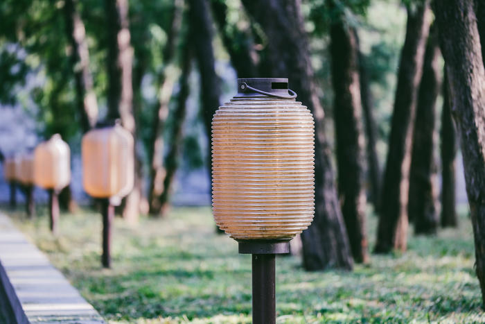 佳能efs18-200mm拍照,佳能微单70-200mm2.8镜头测评