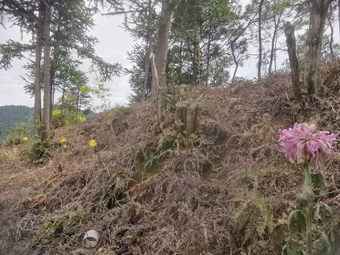 “奋斗百年路，启航新征程”看宣汉④：88年前宣汉的这场战役1000多名烈士仅两人留下了名字