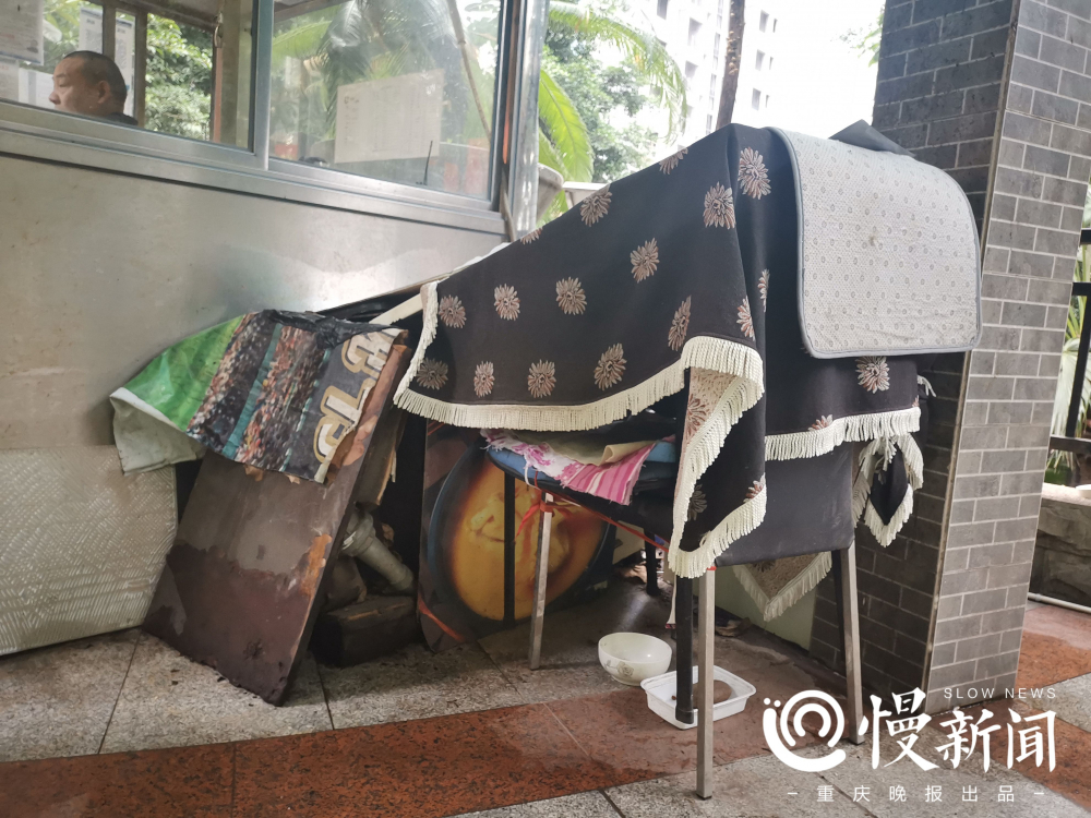流浪狗在小区咬人怎么办,流浪狗伤人多长时间可以休息