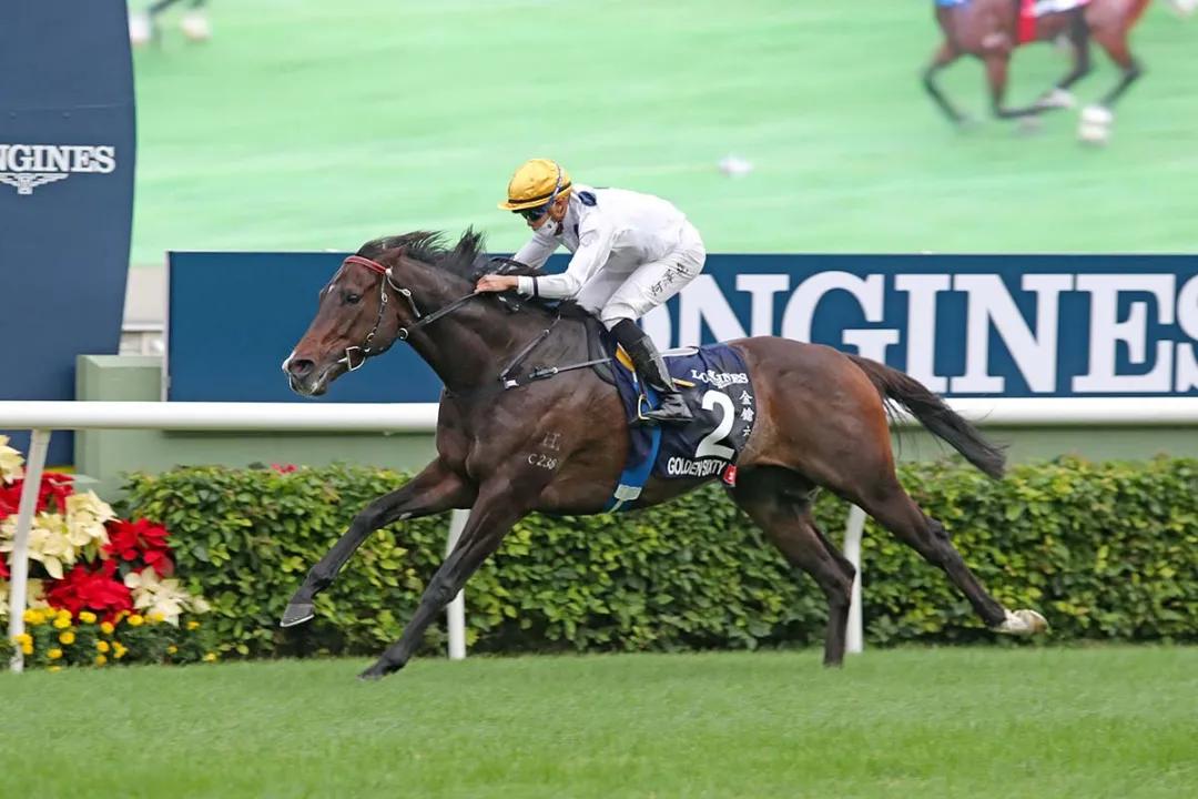 2021年香港国际赛总奖金达1亿，全球名驹挤爆头也想参赛
