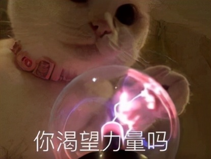 弹跳训练涉及的板块,弹跳训练计划之周一