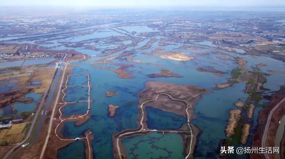 扬州西湖湿地公园在哪里,扬州湿地公园国家湿地公园