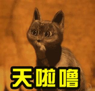 熬夜长出毛尾巴是真的吗,熬夜长出“毛尾巴”