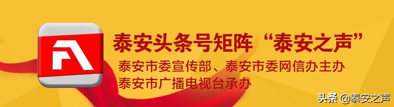 肥城市疫情防控青年志愿者,泰安肥城疫情防控工作