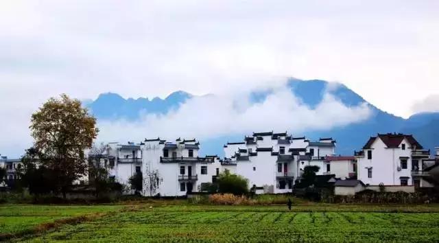 安徽各县区经济实力排名,安徽61个县市经济排行