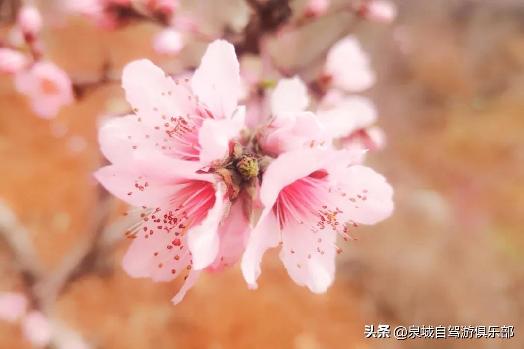 济南的自然风景推荐,济南自然风景好的地方