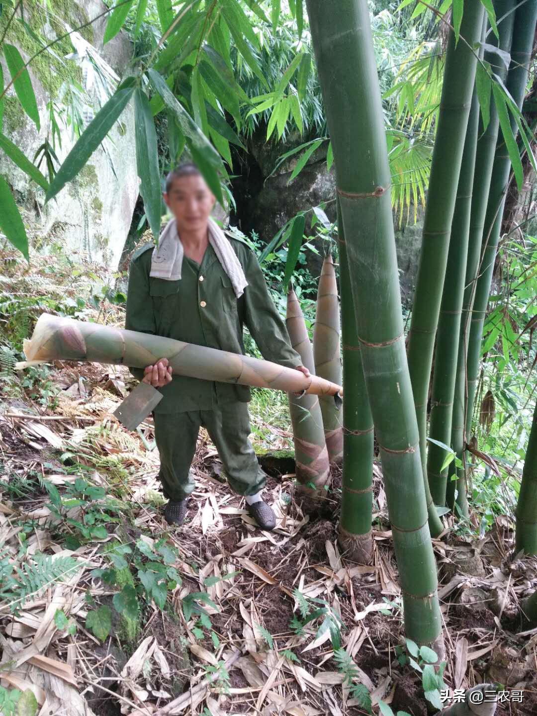 土地撂荒退耕还林,土地退耕是要等2027年吗