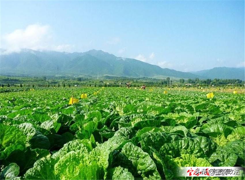 宝鸡四个区的发展前景,宝鸡市经济发展分析