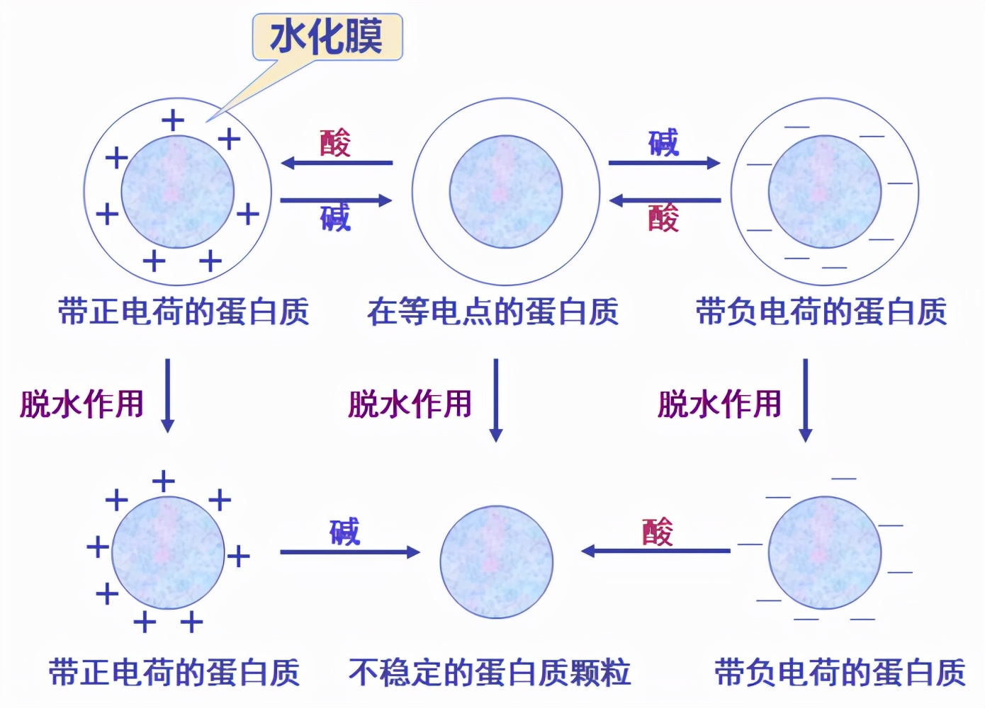 破壁机打豆浆很多泡沫怎么处理,破壁机煮的豆浆泡沫多是熟了吗
