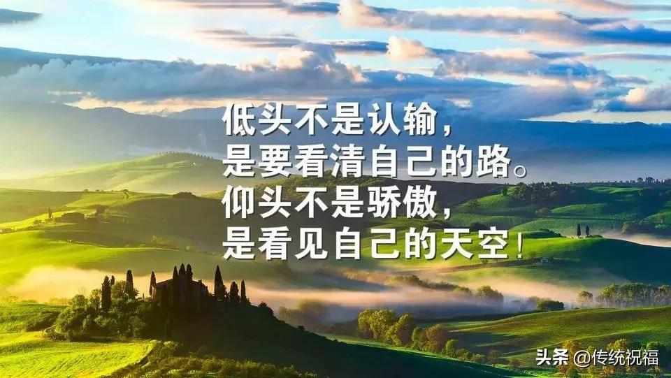 别人诋毁你说明你有能力语录,别人对你好是因为你有利用价值