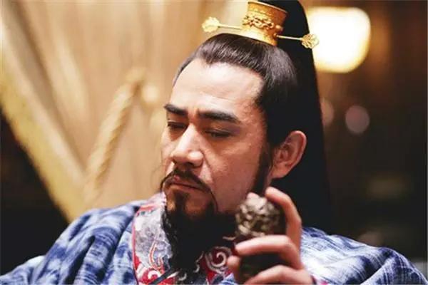 刺杀皇帝完整版,刺杀皇帝计划解说