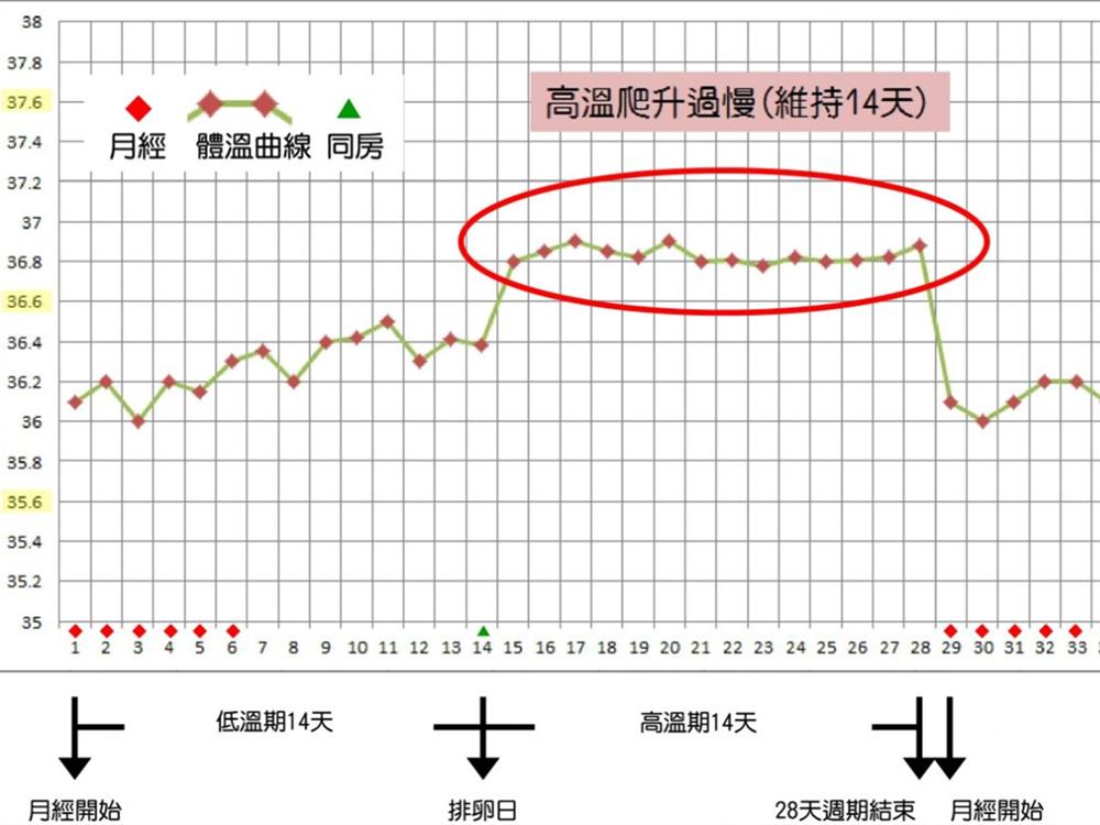 女性排卵信号,女孩身体什么信号来月经