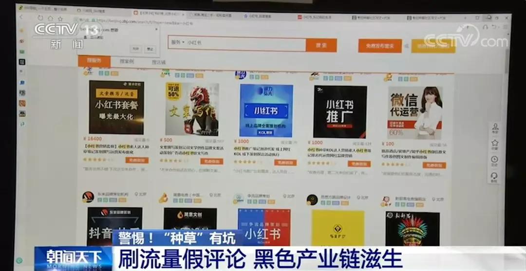 在小红书上瞬间被种草了,被小红书种草的这两年