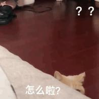 调戏女朋友的套路表情包,撩人表情包你肯定喜欢我