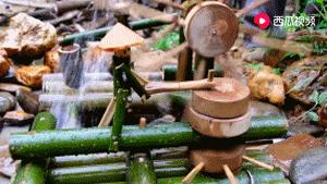 西瓜视频独家签约创作人阿木爷爷，被央视新闻联播点赞了