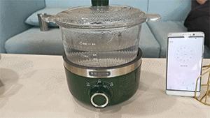 多功能电锅蒸煮炒煎一体锅测评,哪一款电炖锅最好用