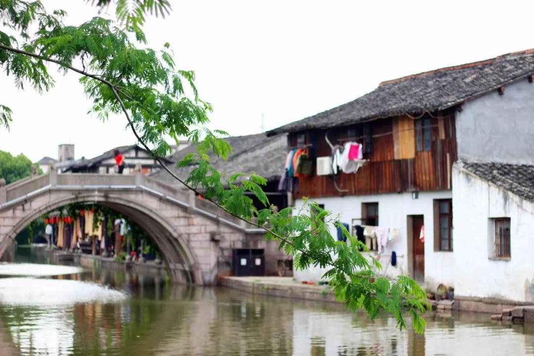 一生必背50首宋诗,一生必背60首宋诗大全