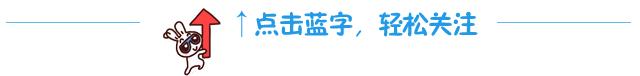 白云高质量打造乡村振兴新模式,乡村振兴四类乡村产业项目