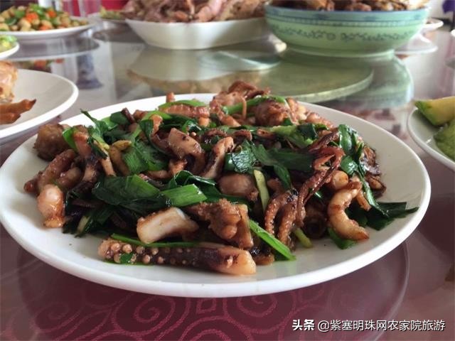 绉︾殗宀涙梾娓稿彲浠ュ嚭娴锋崟楸肩殑鍦版柟 (绉︾殗宀涚墽娴疯繙鑸啘瀹堕櫌)