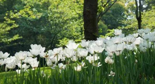 中考真题：谷雨时节“播种”忙，洒下汗珠种“希望”