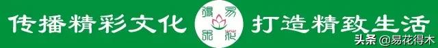 布袋兰花品种图片大全,我国特有的单种属珍稀濒危兰花