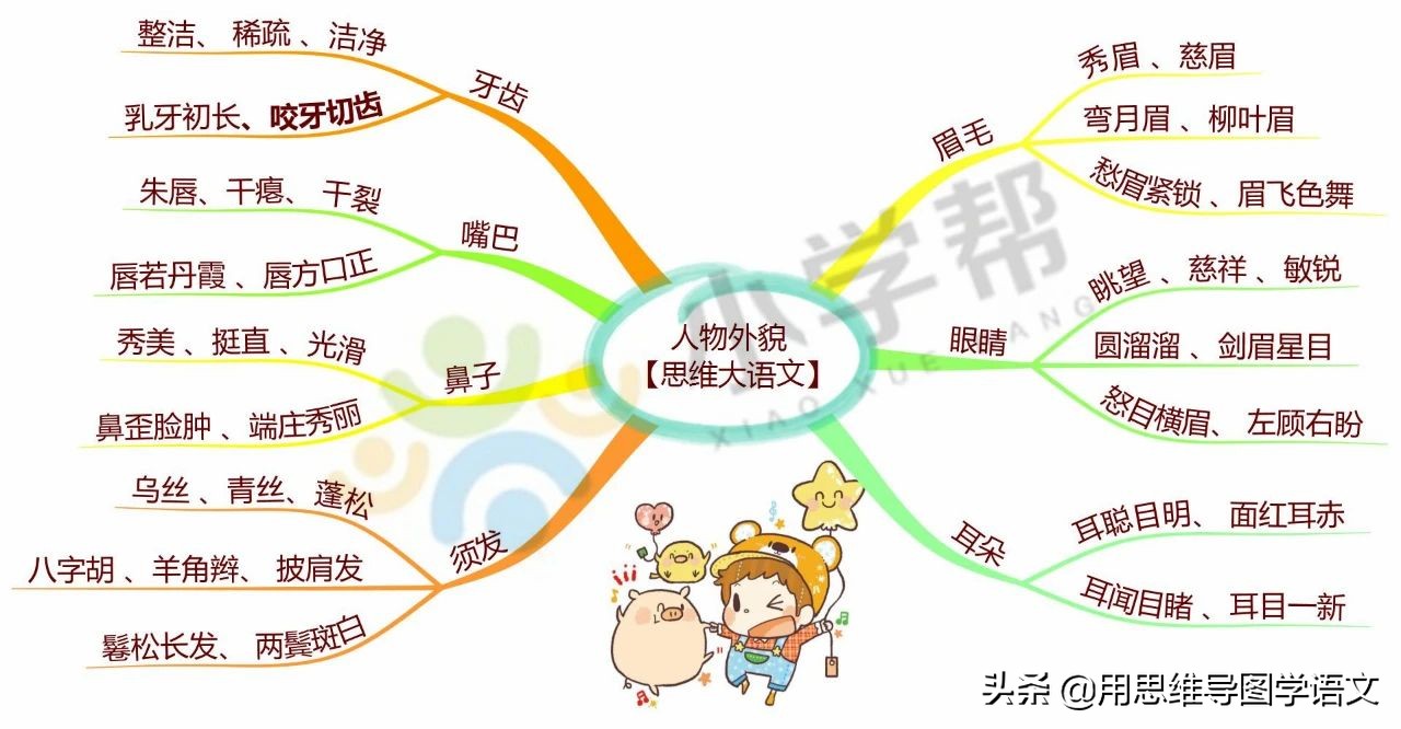 人物外貌描写的好词好句,日积月累写人好句
