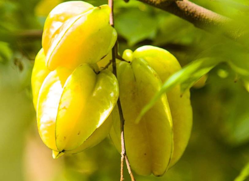 为人处世记住这五大忠告,老人言做人八大忌