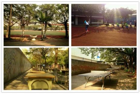 广东职业技术学院2021高职高考,广东职业技术学院有没有高职扩招