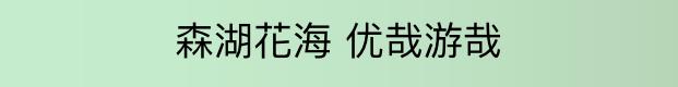 五一花海门票特惠团购,五一花海门票免费送