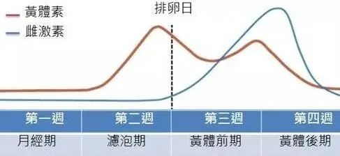 乳房有包块会得乳腺癌吗,发现乳房肿块几个月会癌变