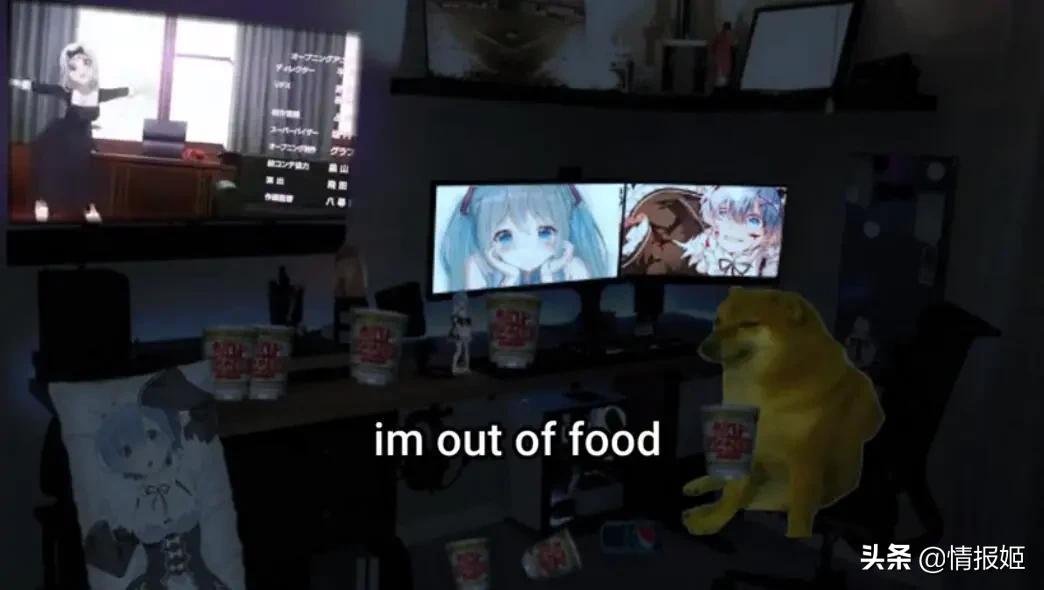 被做成表情包的柴犬doge,doge柴犬表情包万恶之源