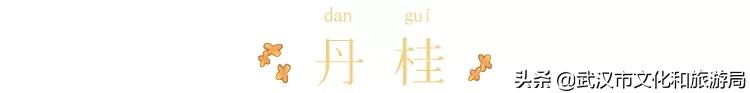 这个季节的武汉满街桂花香,武汉什么地方有桂花香味