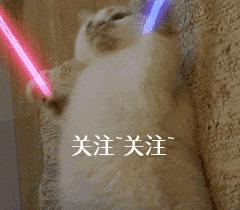 学好这几招很管用,在一窝土狗中怎么挑到狗王