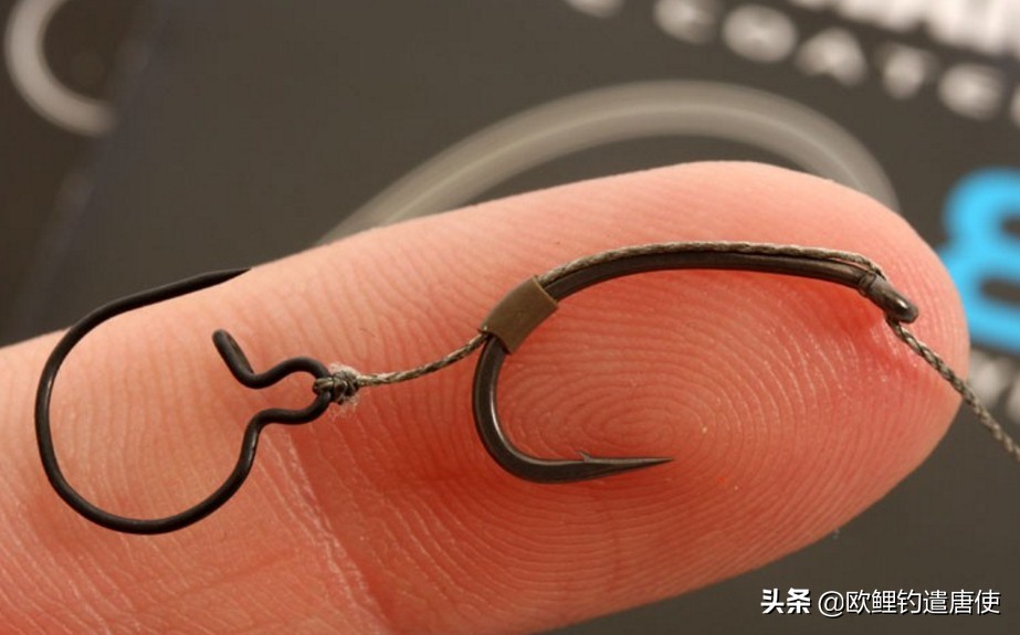 话说欧鲤钓组全集,欧鲤钓组可以钓哪些鱼