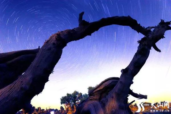来*疆新**吧！这里的星空能满足你对浪漫的所有幻想……