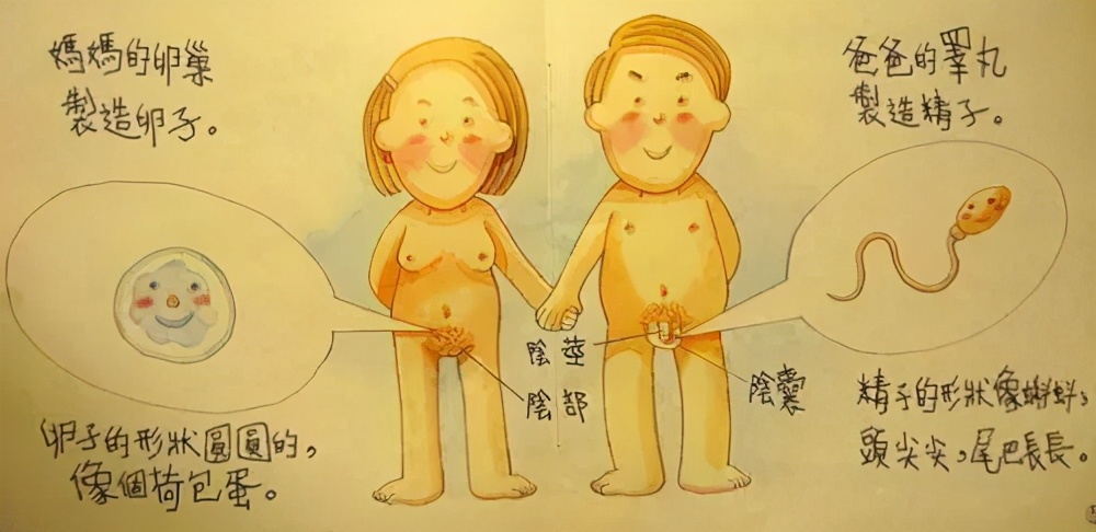 父母知识一般怎么教出聪明孩子,怎样教育孩子对性的正确认识