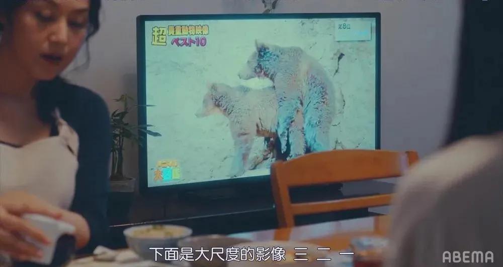 今天我想和你谈谈生活,今天我想和你谈谈青春