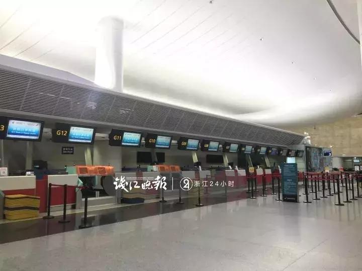 西湖60年大树被连根拔起,西湖大树被淹断电