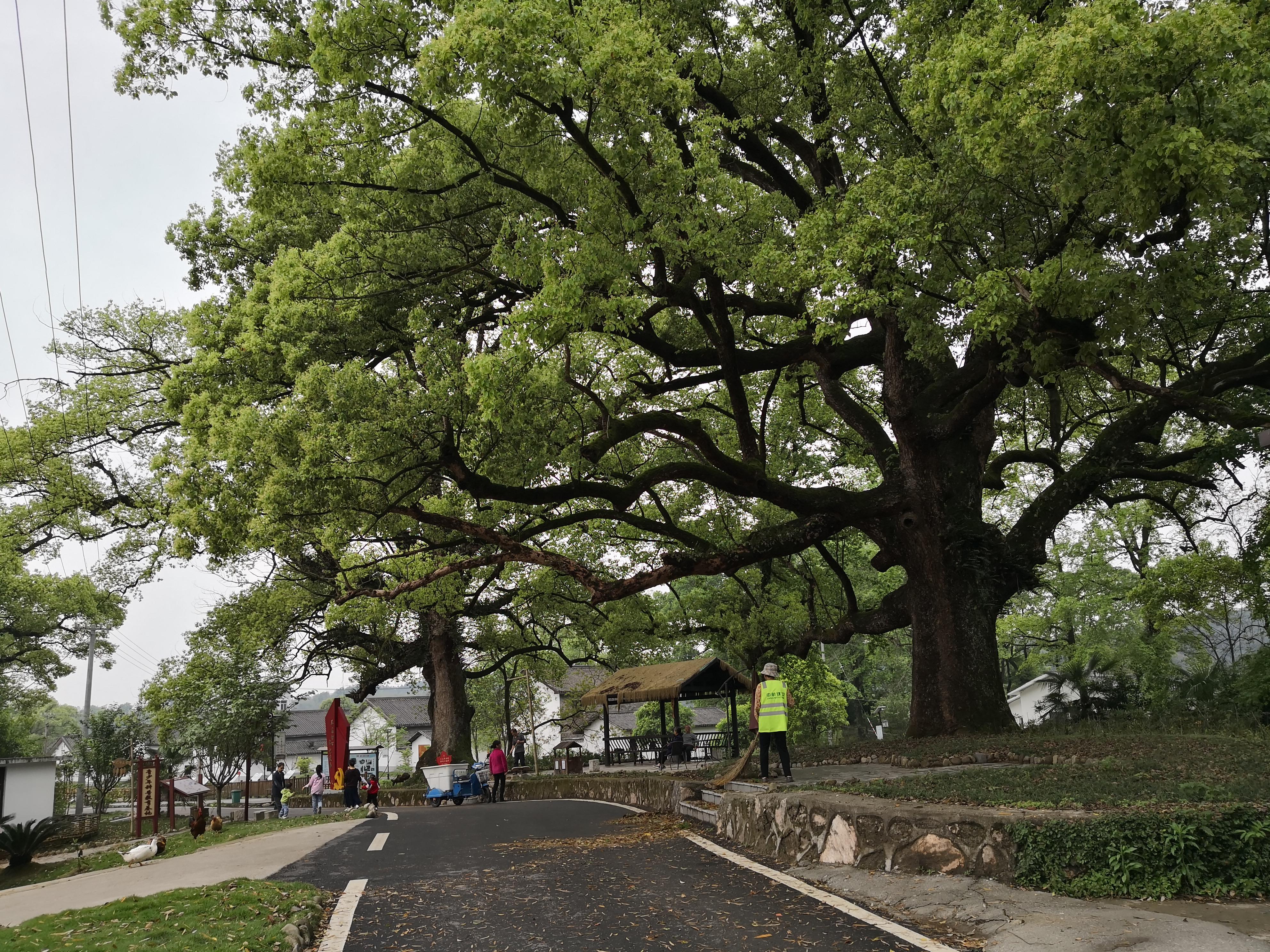 妈妈那边的亲戚称呼大全,山东亲属称呼大全
