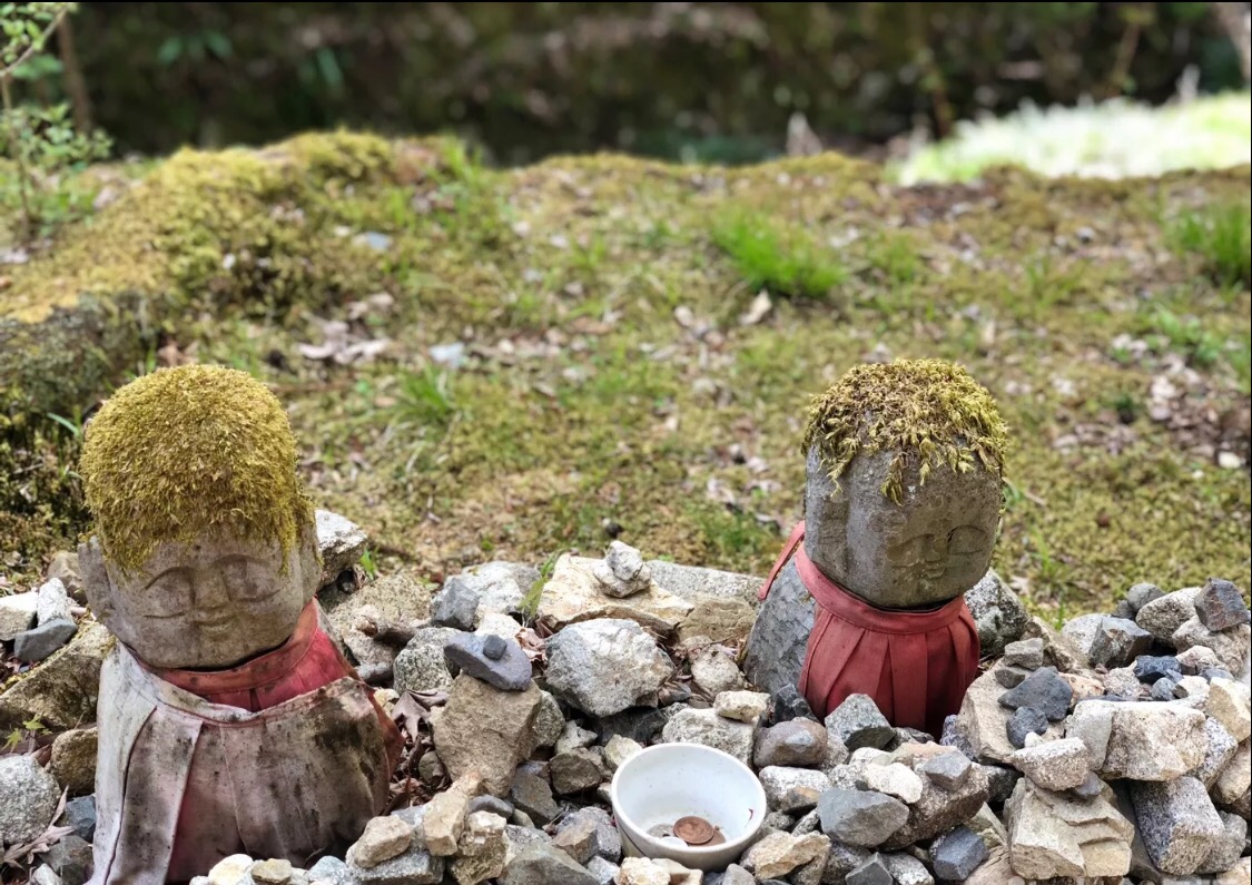 妯辫姳涔嬫梾澶ч槳,鏃ユ湰妯辫姳涔嬫梾