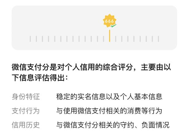 微信支付信用分查看条件,微信支付分和芝麻信用分的区别