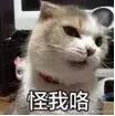 今年夏天最难看的鞋子,夏天最火的鞋款有哪些