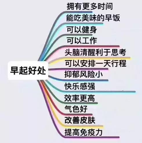 对不起先生，请不要在手机上*飞机打**