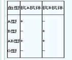 人类abo血型抗原分为几种,人类abo血型抗原有几种