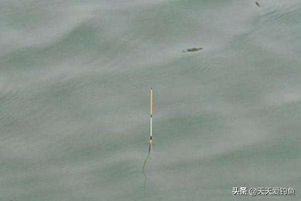 立漂的正确调漂方法,调漂教程调几钓几最好