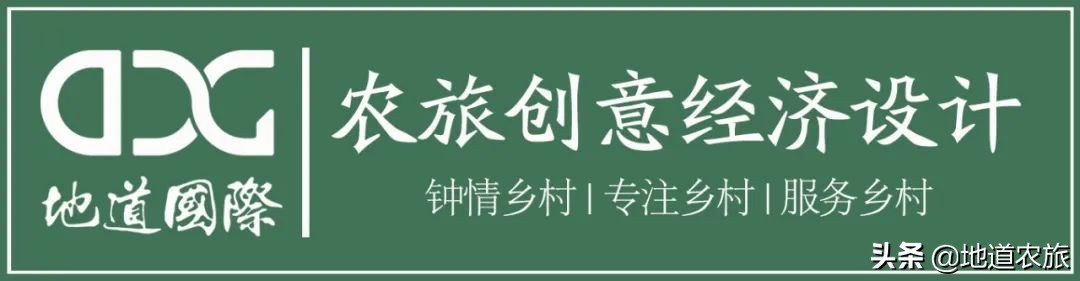 农村庭院经济发展思路,乡村小投资创业项目有哪些