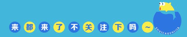 30cm水陆缸适合养什么,水陆缸植物前景中景后景搭配介绍