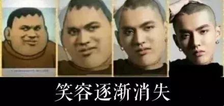 又一WDJ推荐品牌美士国产了，配方指标都变差了，大家别买错了