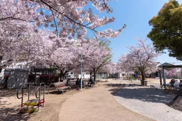 大阪一户建Momodani|步行12分钟至桃谷站，4站可至难波，总价2950万日元