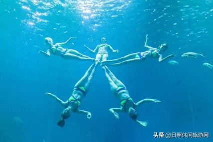 日照绿茶价格表,日照文旅